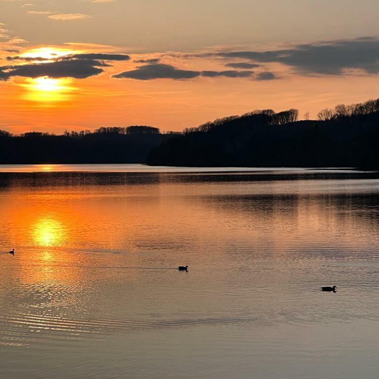 Ferienwohnung Möhnesee Kajak SUP Angeln Surfen Segeln Anglerhaus