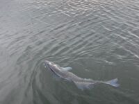 Ferienwohnung Zander