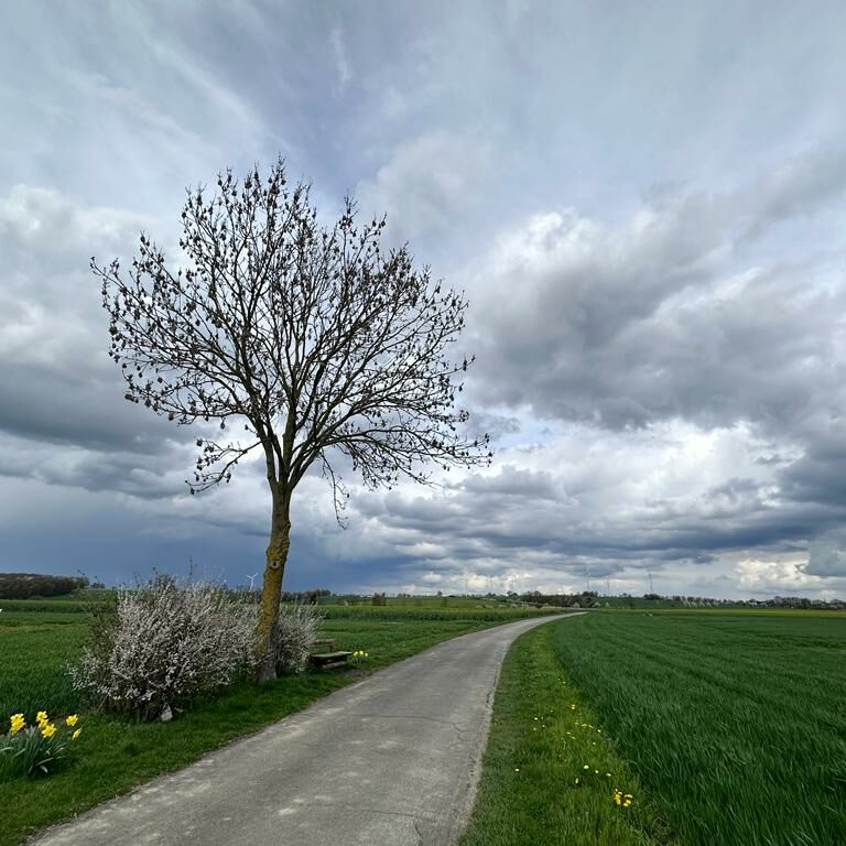 Ferienwohnung Möhnesee Kajak SUP Angeln Surfen Segeln Anglerhaus