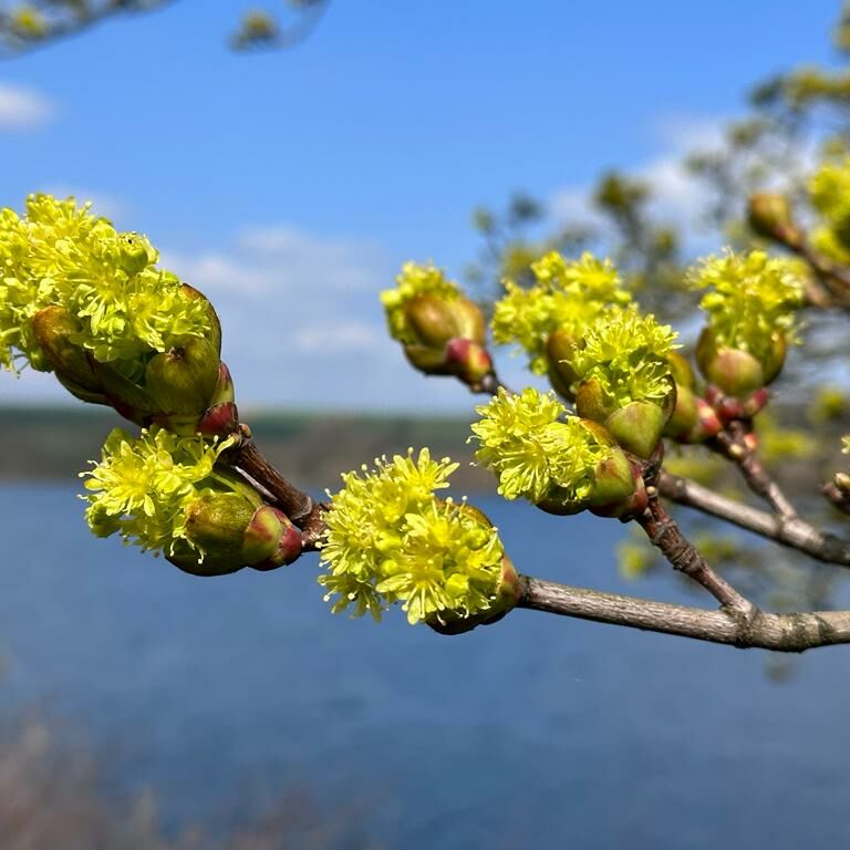 Ferienwohnung Möhnesee Kajak SUP Angeln Surfen Segeln Anglerhaus
