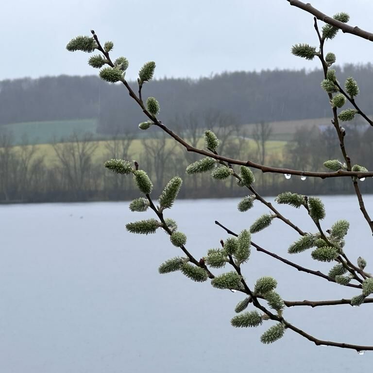 Ferienwohnung Möhnesee Kajak SUP Angeln Surfen Segeln Anglerhaus
