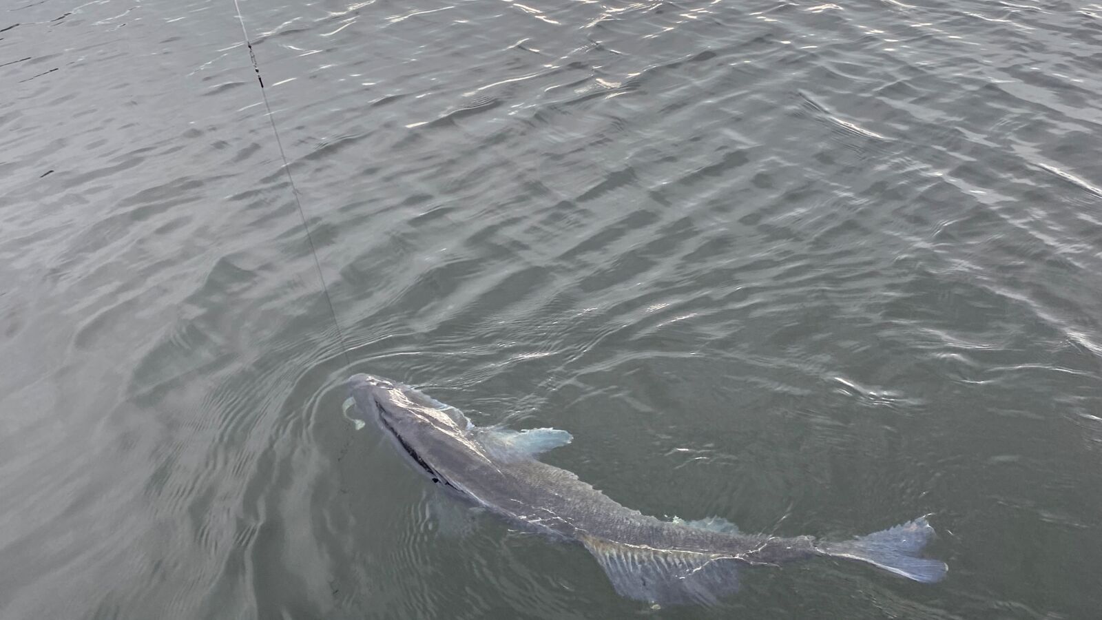 Ferienwohnung Zander Seeblick Möhnesee Urlaub